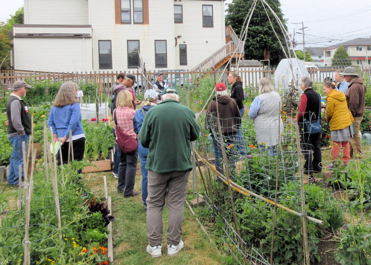 Photo courtesy of WSU Extension Master Gardener Program / Laurel Moulton, WSU Extension Master Gardener Program Coordinator, offers advice to participants at the Second Saturday Garden Walk on July 8