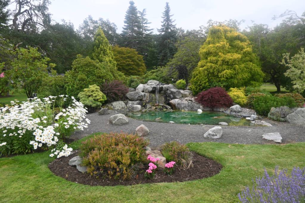 Sequim Gazette photo by Michael Dashiell