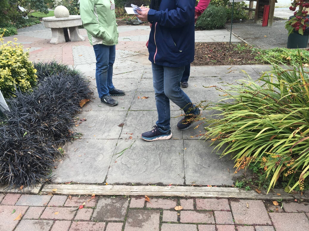 Photo by Anna Plager
The travel surface from home to garden and within the garden is most often the key factor that limits our ability to get around. Transitions from one surface to the next should be as smooth as possible for wheelchairs and walker use.