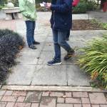 Photo by Anna Plager
The travel surface from home to garden and within the garden is most often the key factor that limits our ability to get around. Transitions from one surface to the next should be as smooth as possible for wheelchairs and walker use.