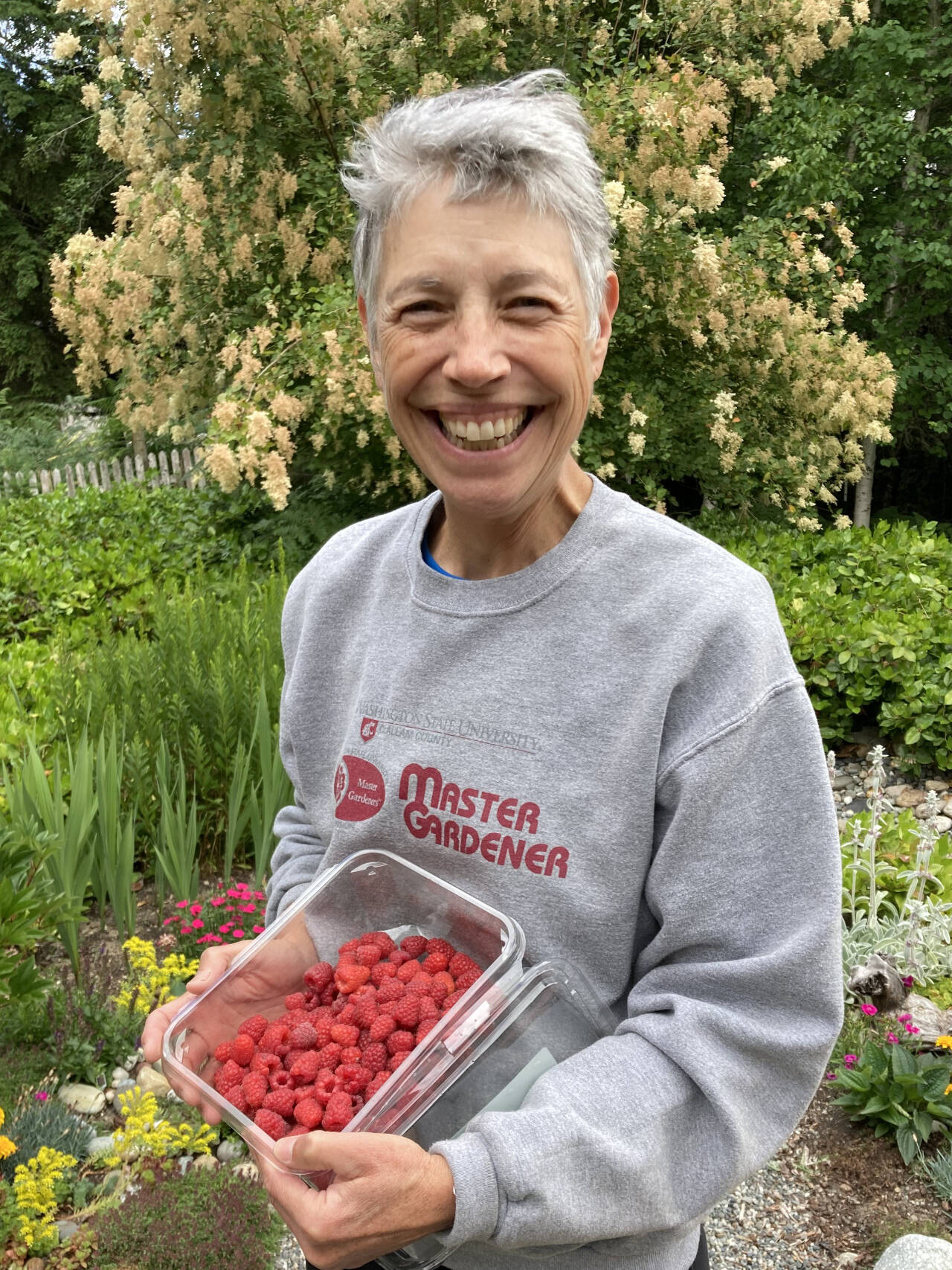 Photo courtesy of Clallam County Master Gardeners 
Find out how to prepare your cultivated berries for fall and winter. Join Master Gardener and berry enthusiast Jeanette Stehr-Green for the Digging Deeper Saturdays presentation, Fall and Winter Berry Care, on Saturday, Aug. 19.