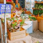 Photo courtesy of Sequim Farmers & Artisans Market/SFAM / Teresa Shiraishi greets visitors at the Tampopo Farms booth at the Sequim Famrers & Artisans Market on Saturdays. Being able to provide accessible, healthy food and interacting with the community are two of her favorite parts of the job.