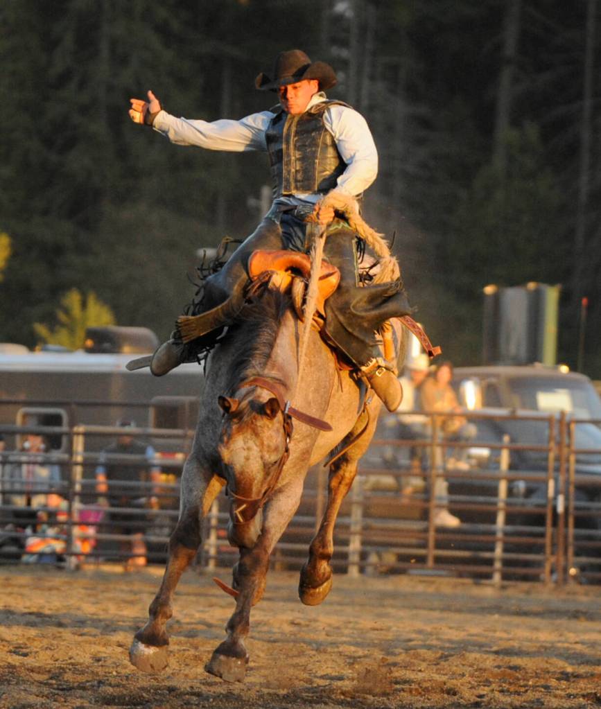 Sequim Gazette photo by Michael Dashiell
Jacob Phillips of Chiloquin, Ore., looks to stay aboard Nightwatch at the Clallam County Fair rodeo on Aug. 18.