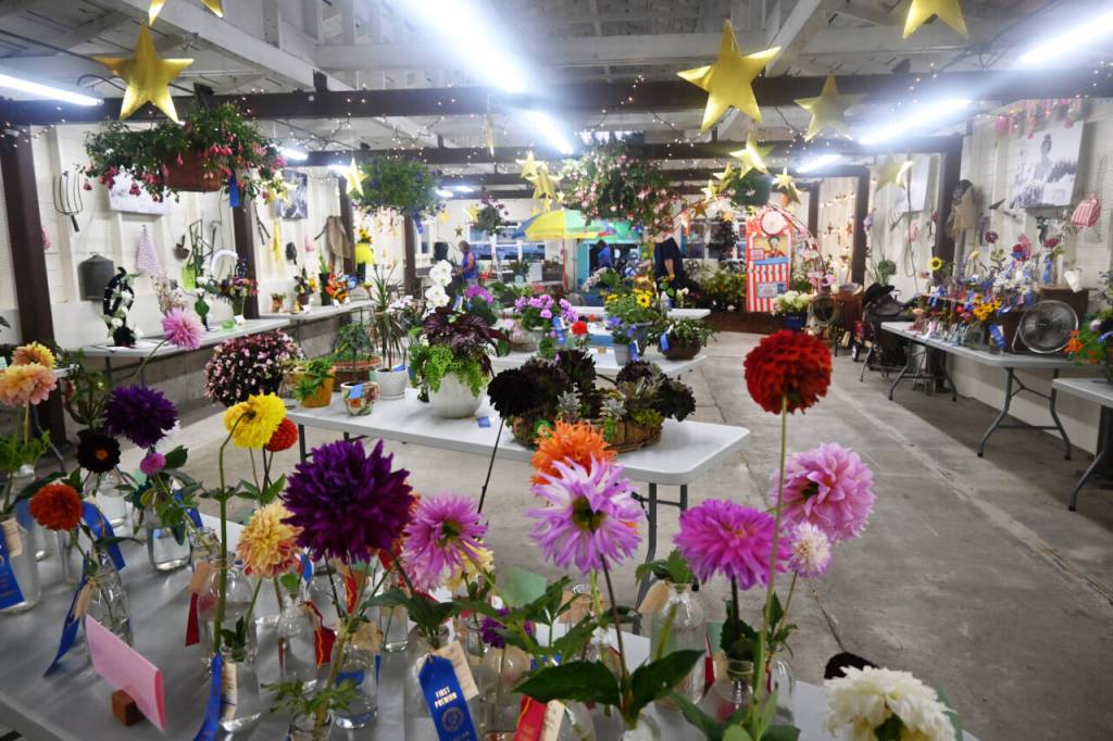 Sequim Gazette photo by Michael Dashiell / A bounty of floral beauty fills and exhibition hall at the Clallam County Fair last week.