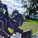 Sequim Gazette photo by Matthew Nash/ A crew with Blue Mountain Tree Service remove a cottonwood tree on Aug. 22 after it began to split and create a safety hazard in the Sequim Dog Park.