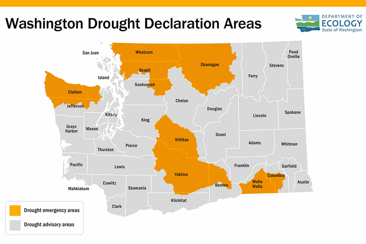 Image courtesy Department of Ecology
Clallam County is currently in a drought declaration and local municipalities are encouraging water conservation. In Sequim, fishery and irrigation managers are coordinating to maximize stream flows to assist pink salmon migrating up the Dungeness River due to low stream flow.