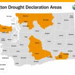 Image courtesy Department of Ecology
Clallam County is currently in a drought declaration and local municipalities are encouraging water conservation. In Sequim, fishery and irrigation managers are coordinating to maximize stream flows to assist pink salmon migrating up the Dungeness River due to low stream flow.