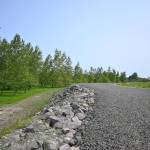 Sequim Gazette photo by Michael Dashiell
Petitions developed by local citizens seek to keep the new Towne Road unpaved and open to hikers and walkers.