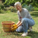 Photo by Audreen Williams/Clallam County Master Gardener / Summer is going fast, but a new burst of color is right around the corner! Join Clallam County Master Gardener Jeanette Stehr-Green and say hello to fabulous fall foliage at the Green Thumb Education Series presentation, Farewell to Summer: Autumn Leaves, set for noon-1 p.m. on Thursday, Sept. 14, at the Port Angeles Library.