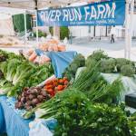 Photo courtesy Sequim Farmers and Artisans Market/ A full harvest is available at River Run Farms booth at the Sequim Farmers and Artisans Market.