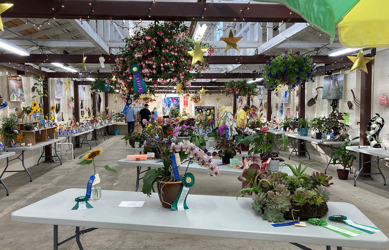 Photo courtesy Sequim Prairie Garden Club
 Sequim Prairie Garden Club helped decorate the Floral Barn at the Clallam County Fair and it won Best Barn.