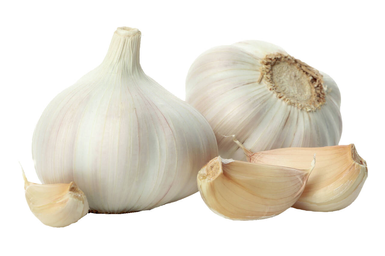 Metro Creative Connections photo
One pound of garlic bulbs yields about 60 hardneck or 80 softneck cloves.