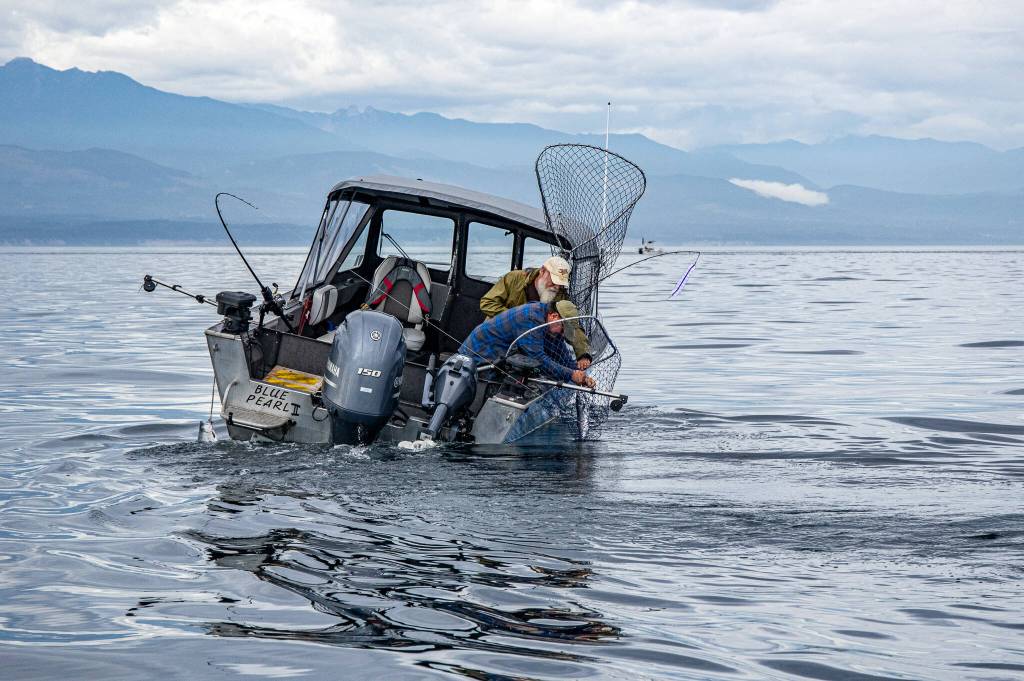 Fisherman in the act of hauling in a salmon are approached by the Washington State Fish and Wildlife police, who check to make sure the catch card matches up with the fish on board and that the fish are the legal size, limit and type.