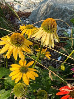 Photo by Dave Eberle
Theres plenty to do in ones home garden in October.