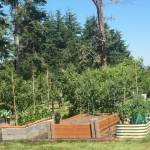 Photo by Anna Plager
Raised beds are made of differing materials, as seen at the Woodcock Demonstration Garden in Sequim.