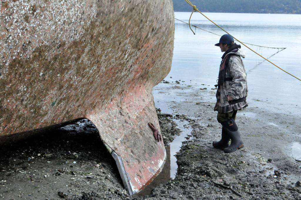 Sequim Gazette photo by Matthew Nash/ When Pat Spradling Jr.s boat ran aground sometime between Sept. 24-25, he said some of the keel broke off. The sailboat was pulled back into Sequim Bay on Sept. 29.