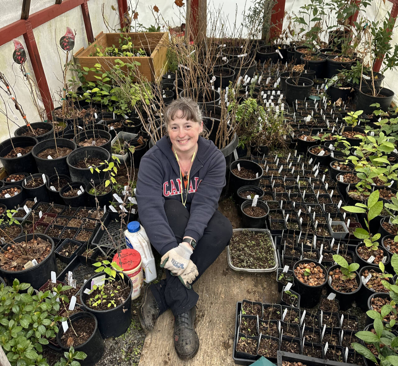 Photo by Iris Fagerland
Join nursery owner Iris Fagerland for the Green Thumb Education Series presentation, Expand Your Garden, Asexual Propagation Through Cuttings, from noon-1 p.m. on Thursday, Oct. 12, at the Port Angeles Library.