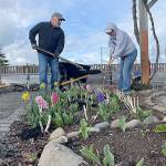 Sequim Gazette file photo by Matthew Nash/ Gardeners Jeff Balzarini and Jill Rochna work on a portion of the Community Organic Garden of Sequim in April. The garden turned 15 this year, and organizers host a celebration on Oct. 14 in St. Lukes Episcopal Church.