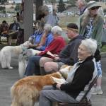 Sequim Gazette photo by Matthew Nash