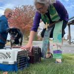 Julie Lawrence, on left, with Madison the dog, watches Pastor Desi Larson bless her cats at Trinity United Methodist Churchs Blessing of the Animals ceremony.