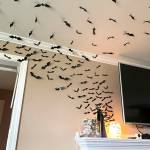 Sequim Gazette photo by Matthew Nash/ Inside the Henning home is a neat bay effect coming from a lamp on their mantle.