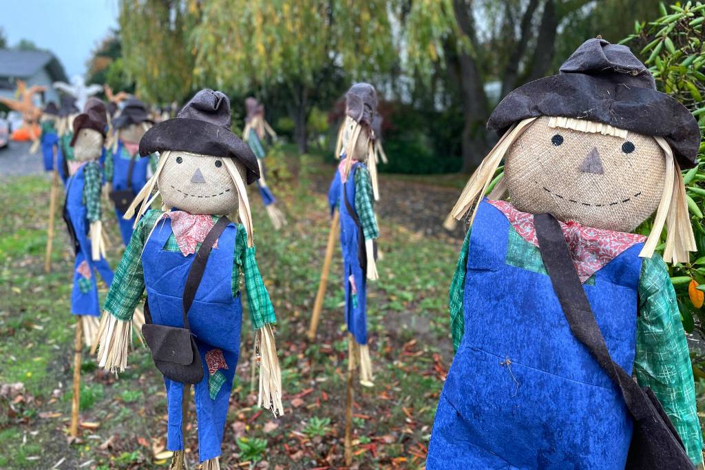 Sequim Gazette photo by Matthew Nash/ Dozens of scarecrows, pumpkins and other characters and creatures can be found at the Henning home off Old Olympic Highway.