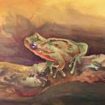 Artwork courtesy of Olympic Peninsula Art Association / Frog Study by Lauren Churchill, a featured artist in the Olympic Peninsula Art Associations annual membership show, to be showcased A. Milligan Gallery starting Dec. 1.