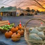 Photo courtesy of Sequim Farmers & Artisans Market
The Sequim Farmers & Artisans Market hosts its November Winter Market festivities from 10 a.m.-2 p.m. on Saturday, Nov. 18, at the Sequim Civic Center.