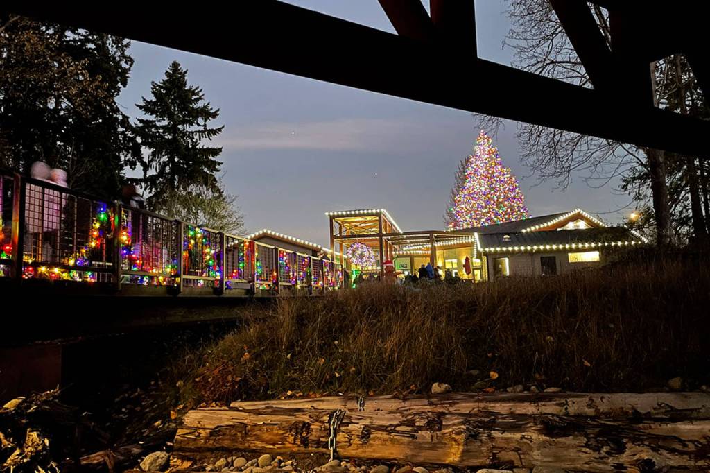 Sequim Gazette photo by Matthew Nash / The Dungeness River Nature Center is illuminated by holidays lights as visitors roam the outdoor patio after a lighting ceremony for the center and nearby Railroad Bridge on Nov. 16 in Sequim.