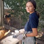 Photo courtesy of Kyle Johnson / Josephine Johnson assists at a spay and neuter clinic in Mwanza, Tanzania.