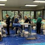 Photo courtesy of Welfare for Animals Guild / Veterinarians at recent West End spay/neuter clinics include doctors Jamie Walkush, Nora Soo, Joel Cuthbert, Jessica Larson, Jan Richards, Megan Cihak, Emily Pietrowicz. Katherine Yunker, Liz Oien, and Linda Allen with support from veterinarian assistant Marion Wagner, veterinary technician Char Weston, Lester Fisher of the Hoh tribe, Terri McQuillen of the Makah tribe, and volunteers from Welfare for Animals Guild of Sequim and Center Valley Animal Rescue of Quilcene.