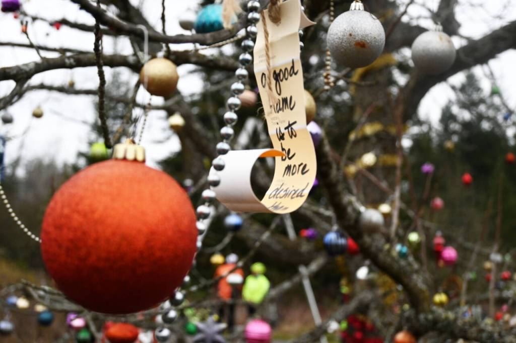 Sequim Gazette photo by Michael Dashiell