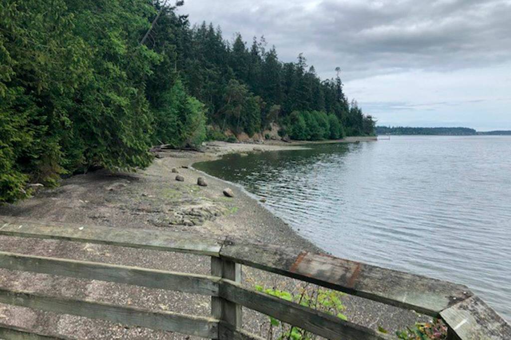 Photo courtesy Sequim Bay State Park/ Through Sequim Bay State Parks new Nature Discovery School and Rainshadow Outdoor Adventure Retreat (ROAR) programs, children from local and Seattle-area schools can enjoy new programming at Sequim Bay State Park, Ramblewood Retreat Center, and Miller Peninsula State Park throughout the year for special field trips and retreats centered around the idea of encouraging children to be outside and experience nature.