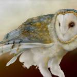 Artwork courtesy of First Friday Art Walk / Best of the Owls by Jeannine Chappell, a featured artist at Blue Whole Gallery in January.