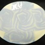 Photo courtesy of Blue Whole Gallery / Roses by Terri Biondolino, a featured artist at the Blue Whole Gallery in February.