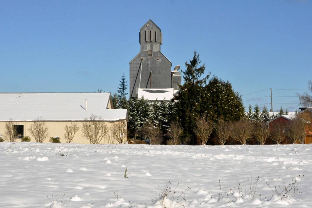 Sequim Gazette photo by Matthew Nash/ A field is covered in snow by the grain elevator.