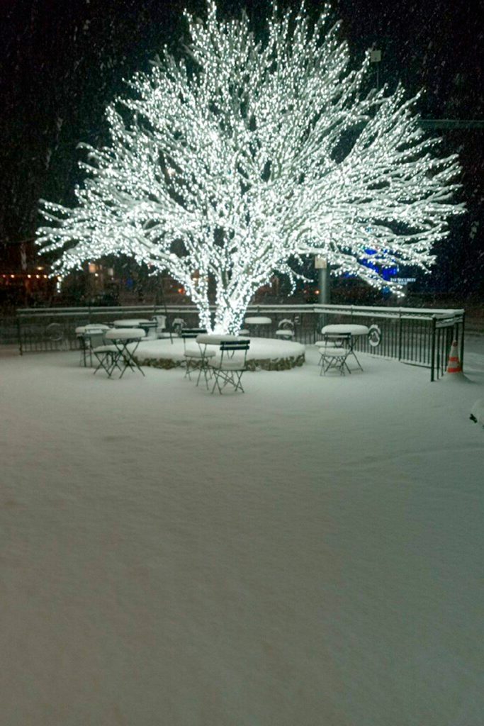 Photo courtesy of Laura Dunham/ Snow covers the sidewalk and seating area outside Hurricane Coffee on Thursday night.