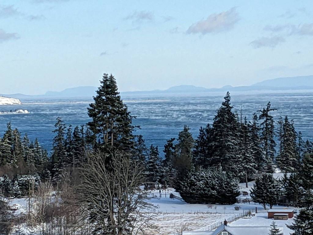 Photo by Andra Tashjian/ Andra Tashjian snaps this photo of recent snowfall that covers Diamond Point.