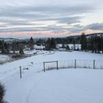 Photo by Andra Tashjian/ Andra Tashjian snaps this photo of recent snowfall that covers Diamond Point.