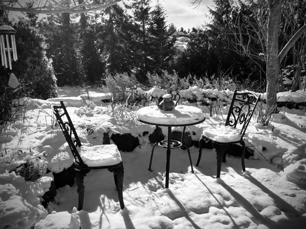 Photo by Della LaCour / Della LaCour labels this photo Table for Two after the Dungeness area got about 4 inches of snowfall this week.