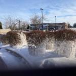 Photo by Bonnie Glendenning / The shrubs lining the Starbucks drive-thru feel the chill with last weeks snowfall and deep freeze.