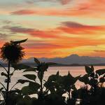 Photo courtesy of Washington State Journal / A late night summer sun sets over Puget Sound in West Seattle at 8:44 p.m.