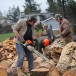 Sequim Gazette photo by Michael Dashiell / From left, Dan Kalinski, Jack Tatom, Ron Long and Wally Jenkins in January cut, chop and split wood for cords, whose sales go directly to help the Path From Poverty nonprofit.