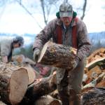 Sequim Gazette photo by Michael Dashiell / Wally Jenkins tosses a piece of wood into a pile as he and fellow woodcutters compile cords of firewood to sell, using the funds for the Path From Poverty nonprofit.