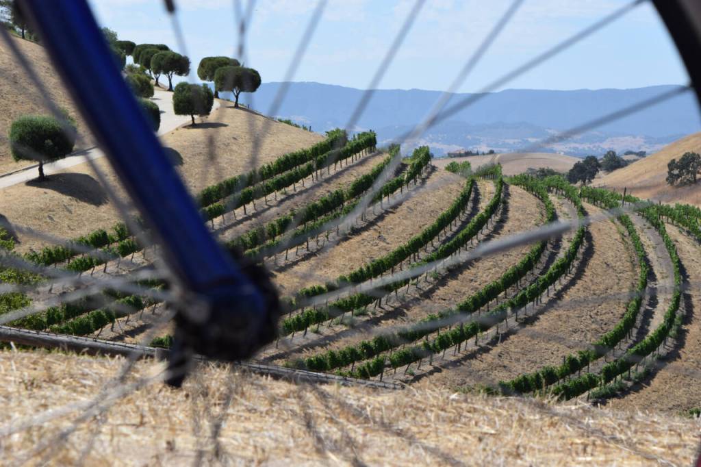 Photo courtesy of Bill Thorness / Author Bill Thorness takes attendees of the March 14 Travelers Journal series presentation along the Pacific Coast, including scenes such as this vineyard in the Santa Ynez region just north of Santa Barbara.