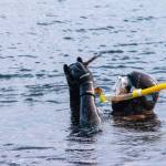 Photo by Tiffany Royal/Northwest Indian Fisheries Commission / Annie Raymond,Jamestown SKlallam Tribe shellfish biologist, inspects a piece of kelp as a possible candidate for a kelp seed bank.