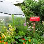 Photo by Robb Drake
Spring is right around the corner  a perfect time to prep your garden for the coming season. Get tips to help you develop a green thumb throughout the spring, summer and fall with the Get It Growing column, featured weekly in the Sequim Gazette through October.