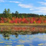 Photo courtesy of Jeff and Louise Davis / Fall foliage hits Lake Arrowhead (southern Maine) in late September.