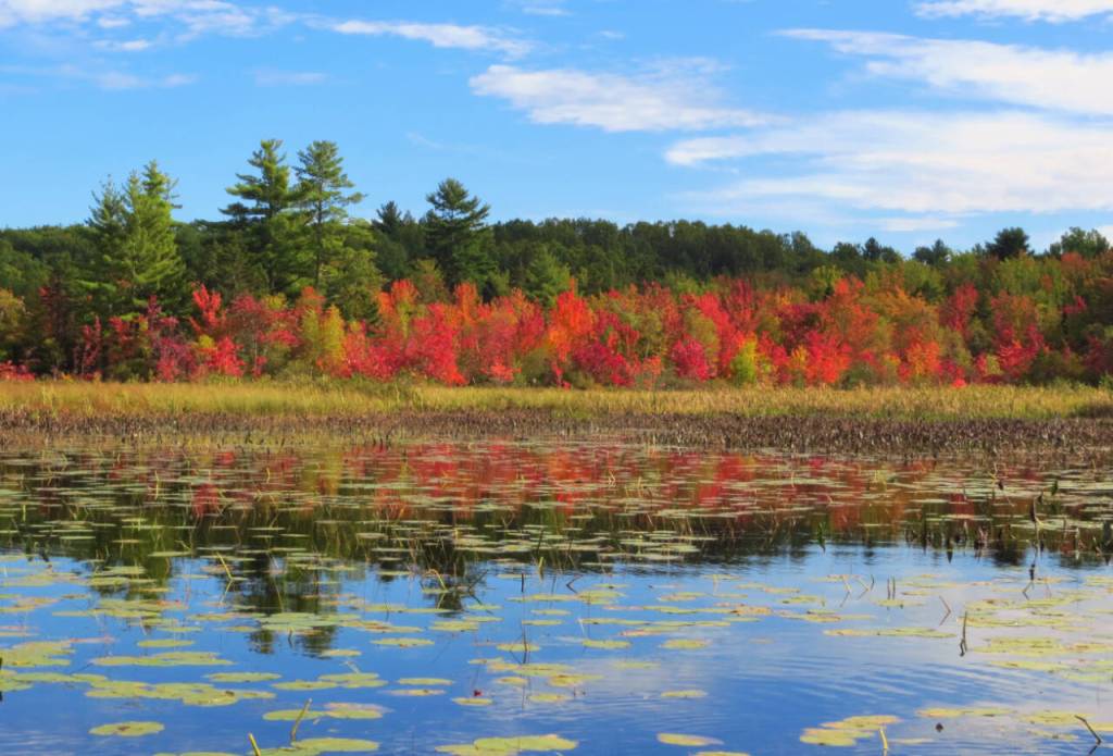 Photo courtesy of Jeff and Louise Davis / Fall foliage hits Lake Arrowhead (southern Maine) in late September.