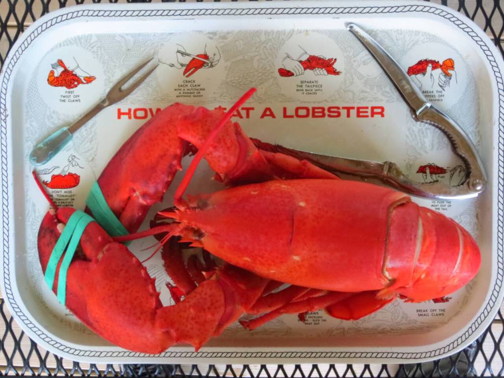 Photo courtesy of Jeff and Louise Davis / Cant visit Maine and not eat lobster …